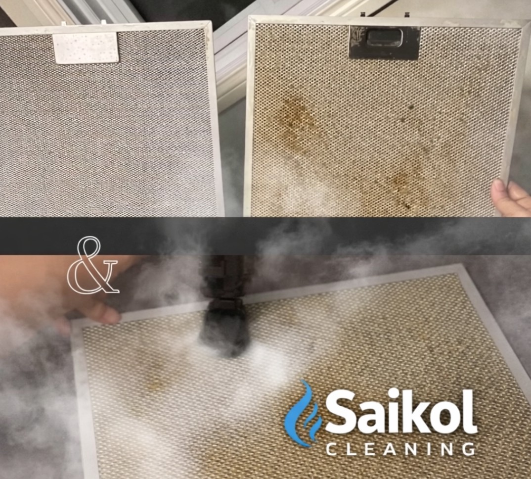 Professional steam cleaning equipment