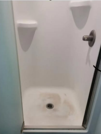 Shower Deep Clean Before